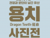 50여 년간 은밀하게 숨어있던 용치(Dragon Teeth), 세상 밖으로 나오다! - 용치 사진전 개최